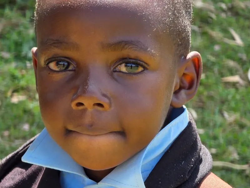 A boy in a dark sweater and a blue collared shirt looks into the camera